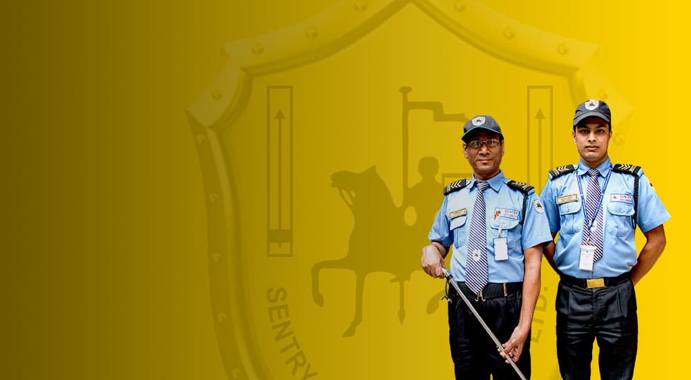 banner image